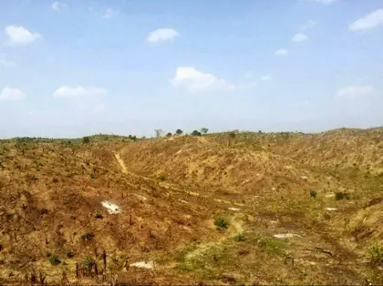 Rubber plantation project photo 9